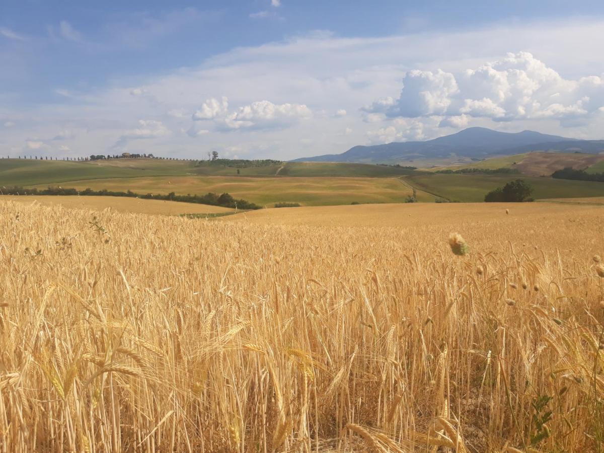 La Corte Antica Πιέντσα Εξωτερικό φωτογραφία